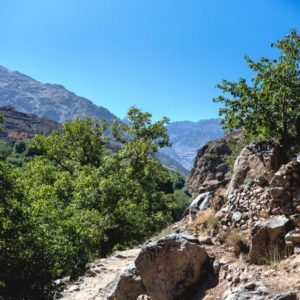 8 Day Excursions