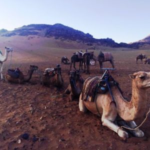 Zagora
